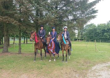 06ea355d-964d-4ead-a420-f1f1dfd3000e