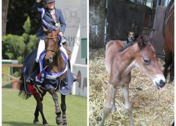 103414582_730490231114051_4911351162469889512_n