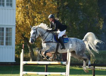 10360403_710658395689840_7883218652742527242_n