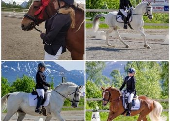 104090571_726636881509437_871457987084723335_n