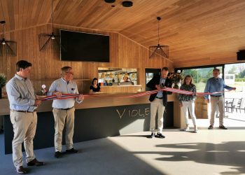 104374448_257483725559987_1875619721307967296_n