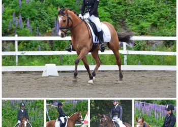 105541141_680991332453843_9216272287720356390_n