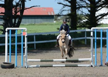 105708293_1153585655007040_1842741022099495531_n