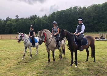 106204510_1385193145001836_4950474574527472217_n