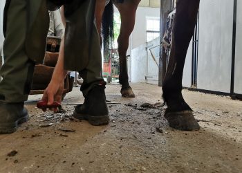 106302043_846525432538299_2558657301252878479_n