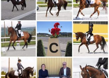 106454057_566149920742356_7004532106765898953_n