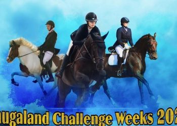 107959401_103608728096454_6462204099688747084_n