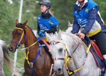 11032698_923796311021136_2506801444370843813_n