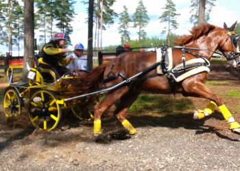 11049620_602420799901230_5881303545190839998_n