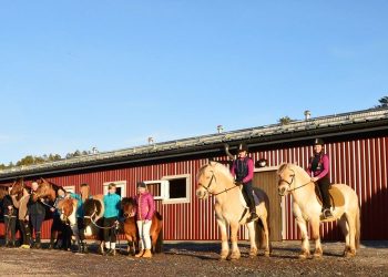 11068739_10152646102812791_1059924674_o