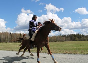 11150152_10205717692875965_1275598610755215384_n