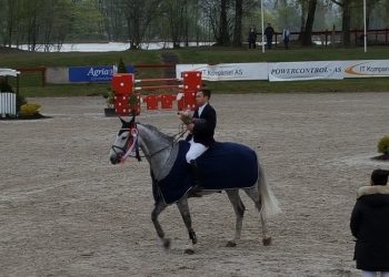 11168569_10155503471860273_4551190979773912056_n