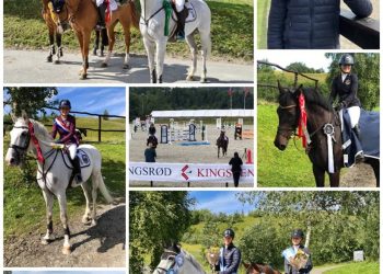 116153988_586390108697434_2126295218053610476_n