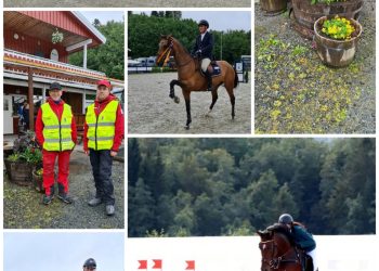 116219324_3544010755629034_3399127980320875196_n