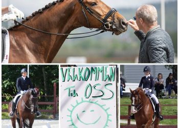 116429841_3141314792584044_8084921351956705091_n