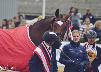 11701529_1008145612530227_357822657_o