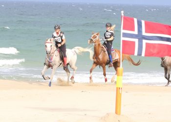 117279554_10217380306326683_765342012594849472_o