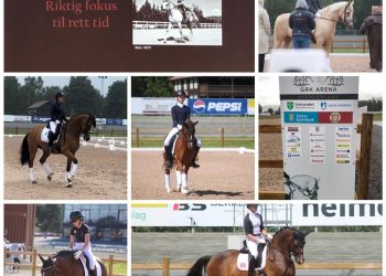 117387734_312587450101286_1999907471890978079_n_1