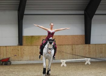 117947171_10157709619521219_4038548929624490548_n_1