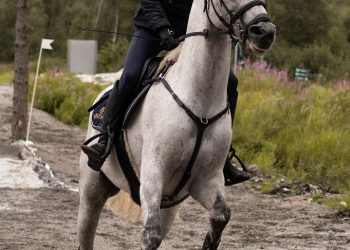 118271372_311737980139316_5897104858932295211_n