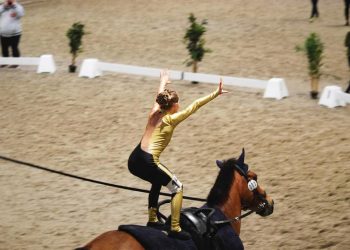 118919039_10157759368176219_1863682087637826134_n