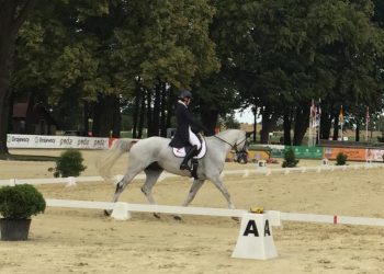 11938819_10207102001570465_1802331007_n