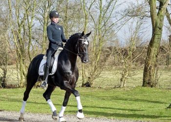 12033422_10156268524275144_826865765_n