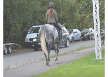 121475925_350506329356366_2822714620429661698_n