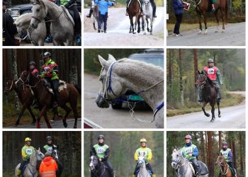 121511127_1487062408157019_5357209244126485744_n