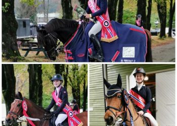 122742979_416884979324360_5782712201313137347_n