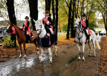 122762052_408260460561553_4139232183669945155_n