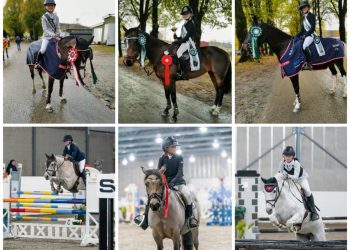 122933790_379520783093691_4307959685083341210_n