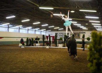 123795083_390135359099545_6444132645067002929_n