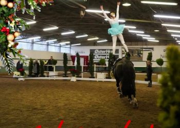 125494246_693605128027480_7222116124223035321_n_1