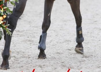 125859427_203171881422717_7681836048584401602_n