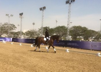 12814046_10153610151079842_5071477116017460195_n