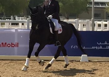 12814476_10153521267573562_5132531207483155859_n