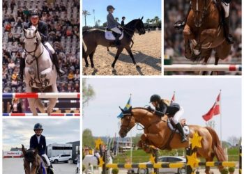 128590378_2768868223355215_2009977464708501192_n