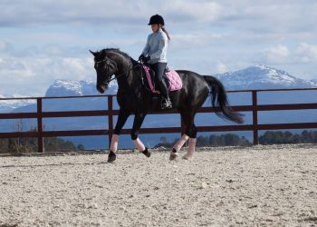 13029659_1084084504981683_5313251879538812732_o