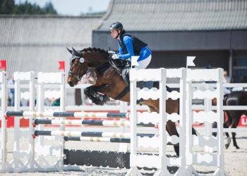 13094130_967184973378257_3391241134303996207_n