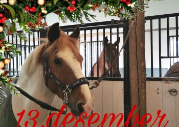 131237476_212977657080783_4797051478071747863_n