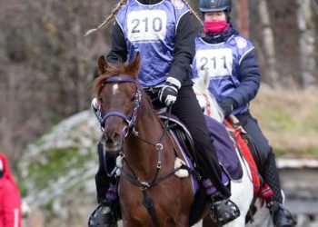 131426679_735770163706309_1920712482918822207_n