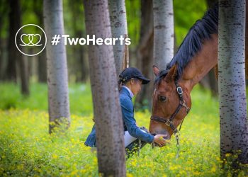 13173233_998593720188020_3218005916589161792_o