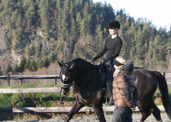 133165_rm_1_2011-11-07_6020_90