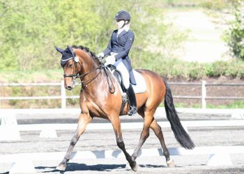 13334264_10157161018875647_1371689117_o