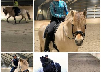 134085958_2912375765685538_5452843180357671909_n