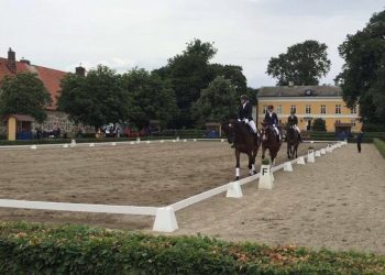 13549013_1119385344798357_649038067_o