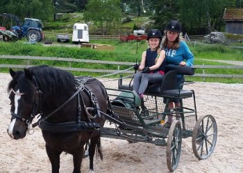 13558636_740403506102958_6755146004335357257_o_1