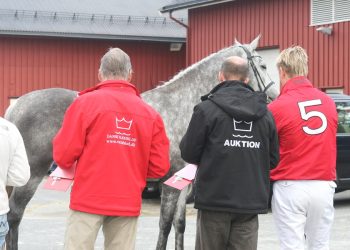 136591_rm_1_img_2722