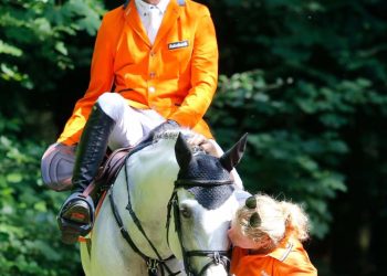 13700218_10154381126969111_1369094174513400229_n